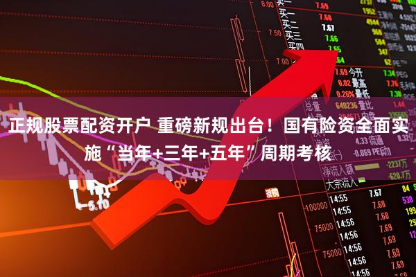 正规股票配资开户 重磅新规出台！国有险资全面实施“当年+三年+五年”周期考核