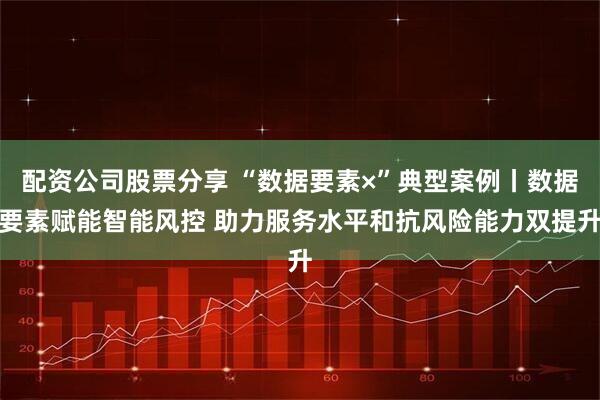 配资公司股票分享 “数据要素×”典型案例丨数据要素赋能智能风控 助力服务水平和抗风险能力双提升